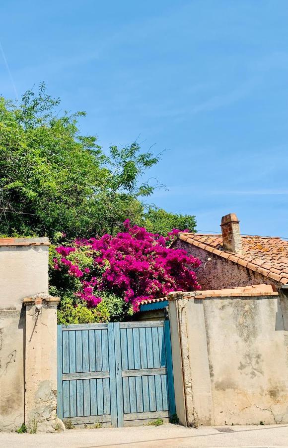Le Saint Loup Daire La Ciotat Dış mekan fotoğraf